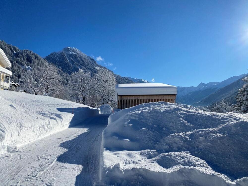 Appartement Haus Albuin à Sankt Gallenkirch Extérieur photo